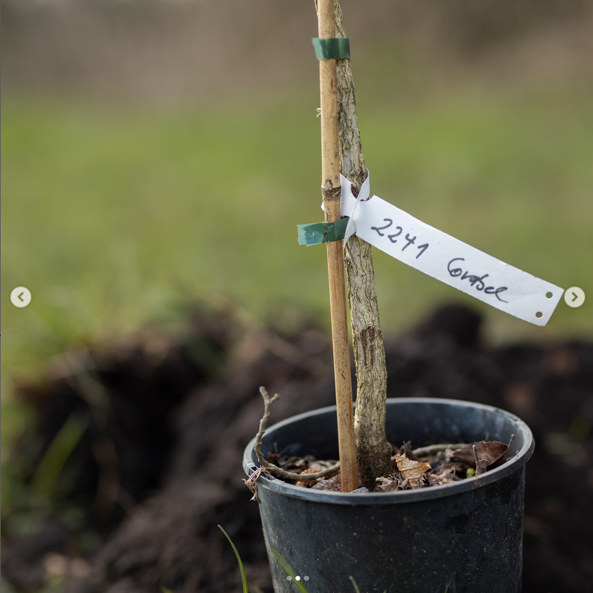 Screenshot 2023-05-12 at 18-24-57 Schümannhof (@schuemannhof.de) Instagram