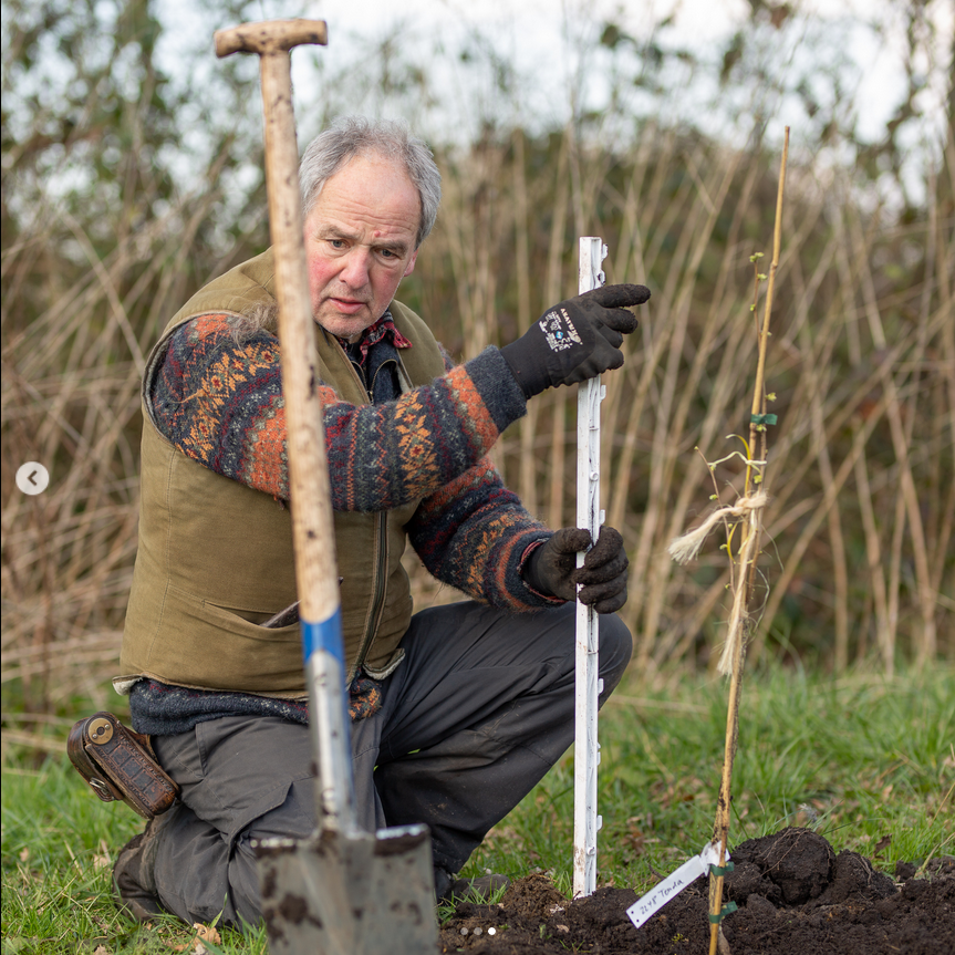 Screenshot 2023-05-12 at 18-25-01 Schümannhof (@schuemannhof.de) Instagram
