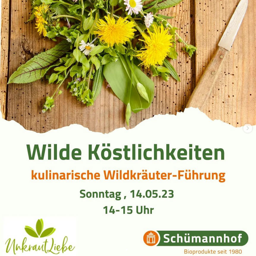 Wildkräuterführung