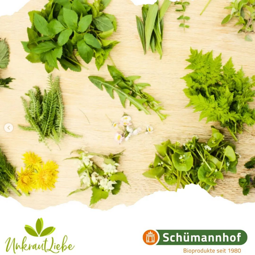 Screenshot 2023-05-12 at 18-28-08 Schümannhof (@schuemannhof.de) Instagram