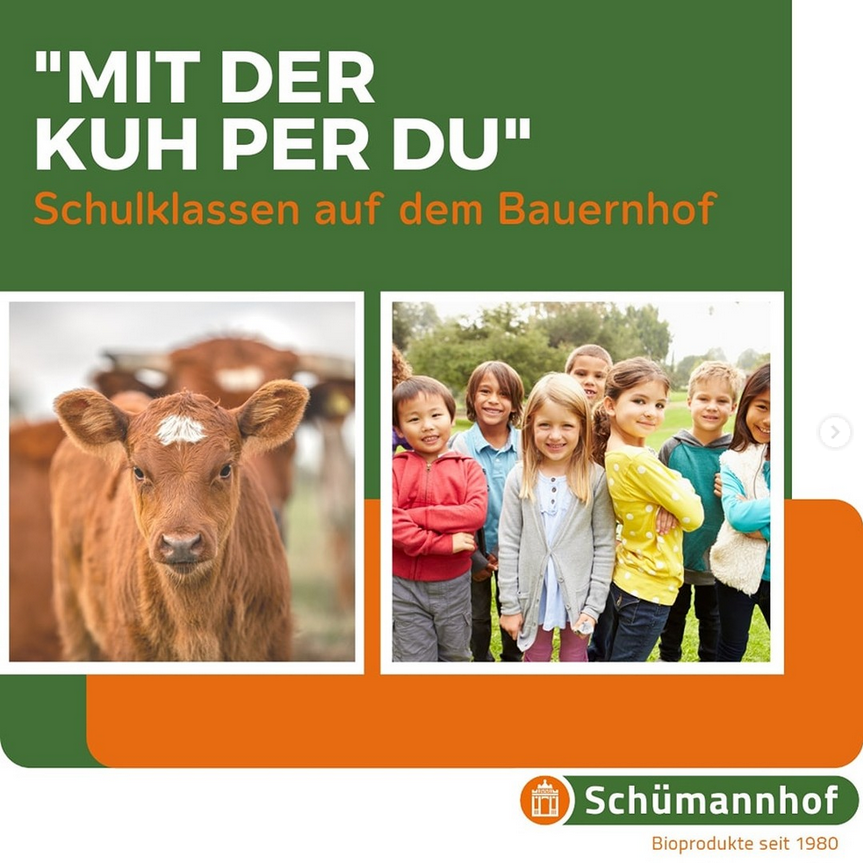 Schulklassenführungen