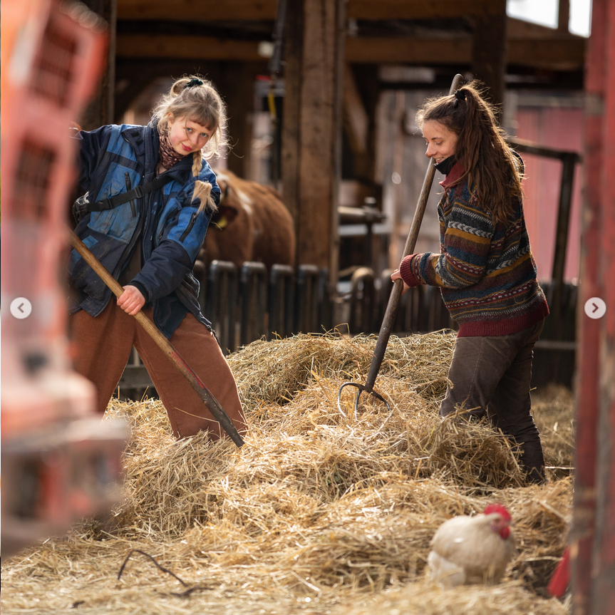 Screenshot 2023-05-12 at 18-55-31 Schümannhof (@schuemannhof.de) Instagram