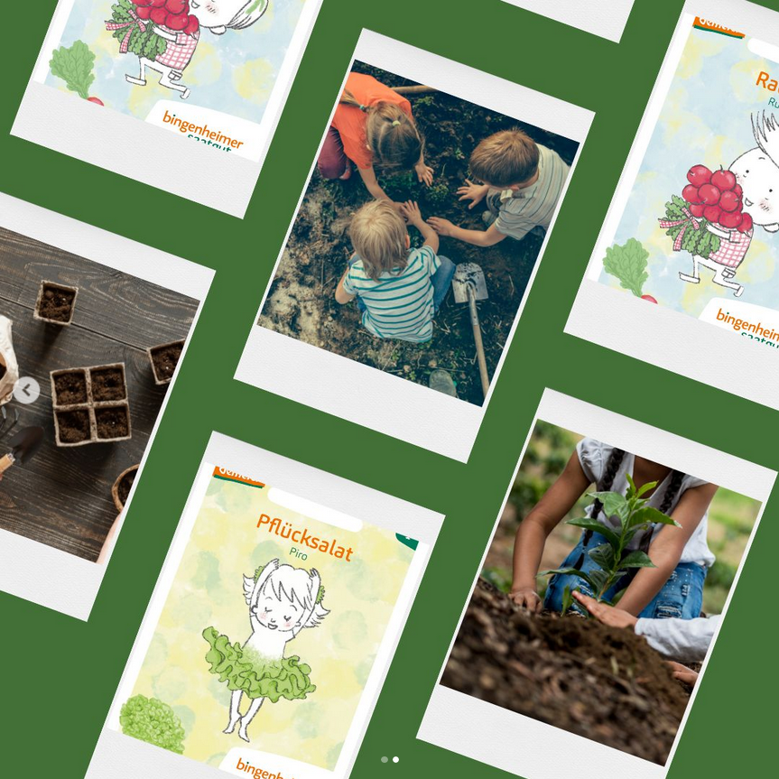 Screenshot 2023-05-12 at 19-37-15 Schümannhof (@schuemannhof.de) Instagram