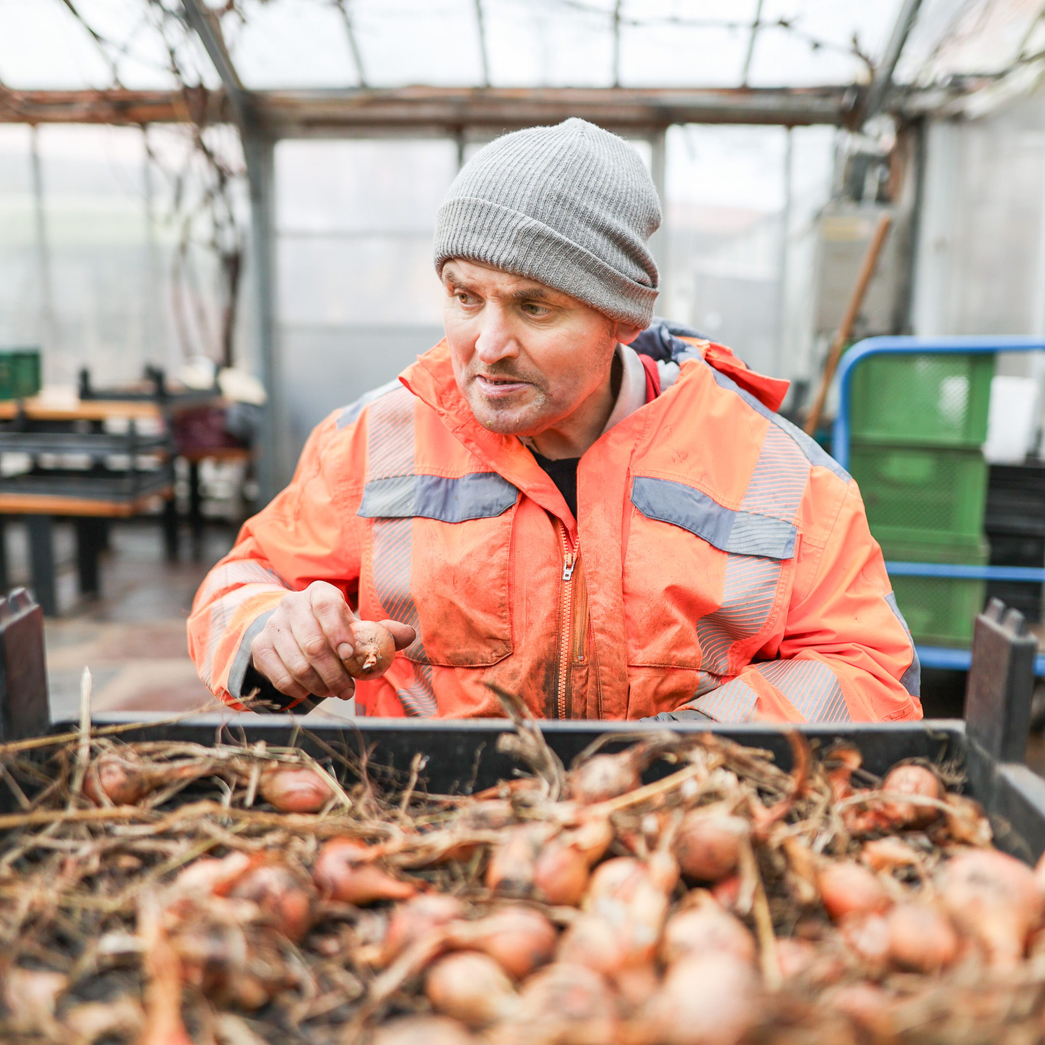 Günter-sozialtherapie