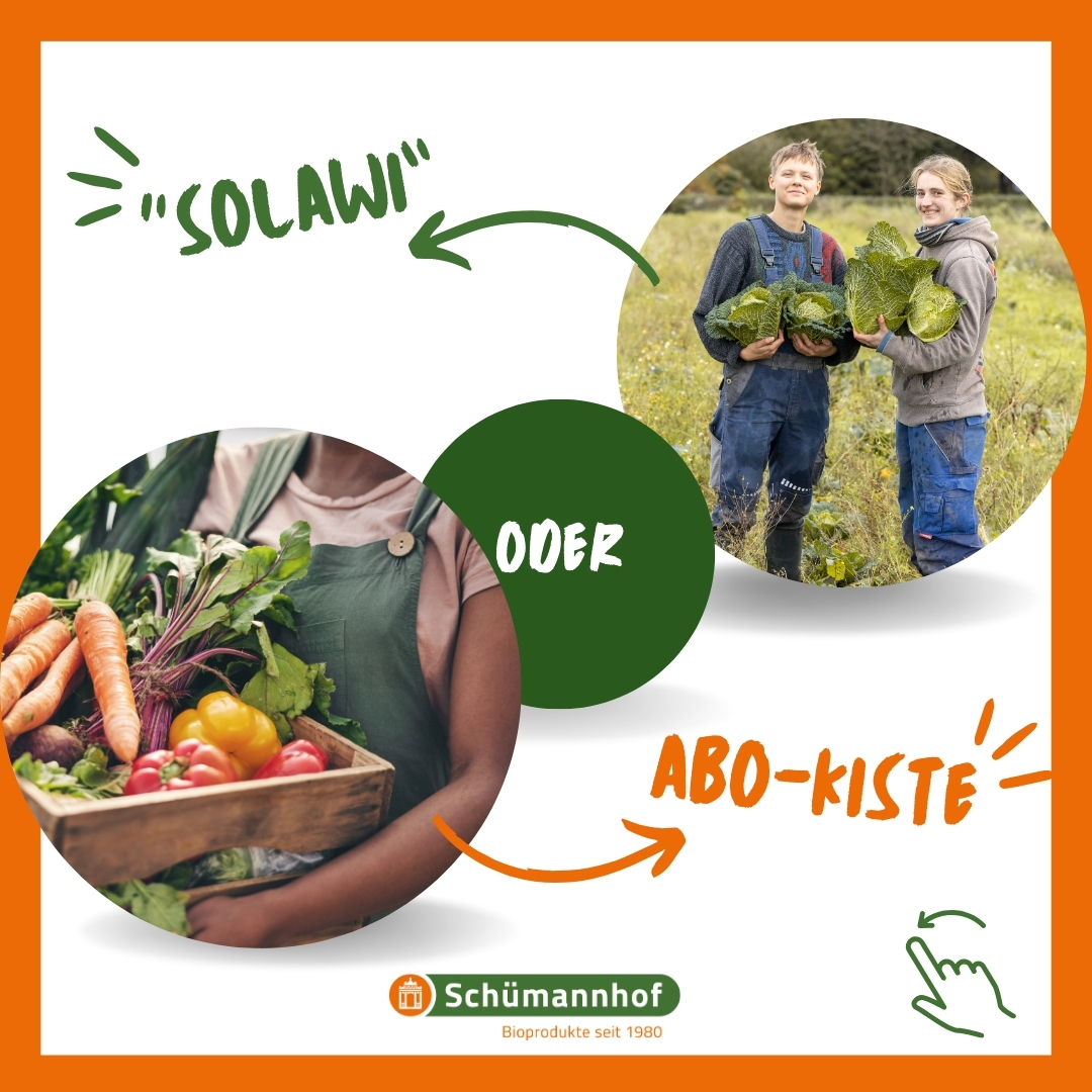 Solawi auf dem Schümannhof